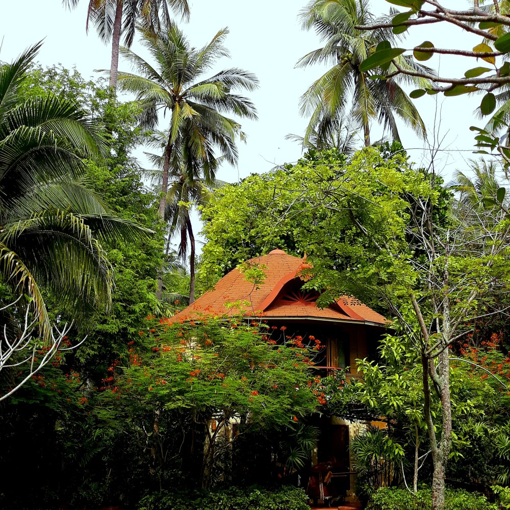 IMG_20181207_131345_652