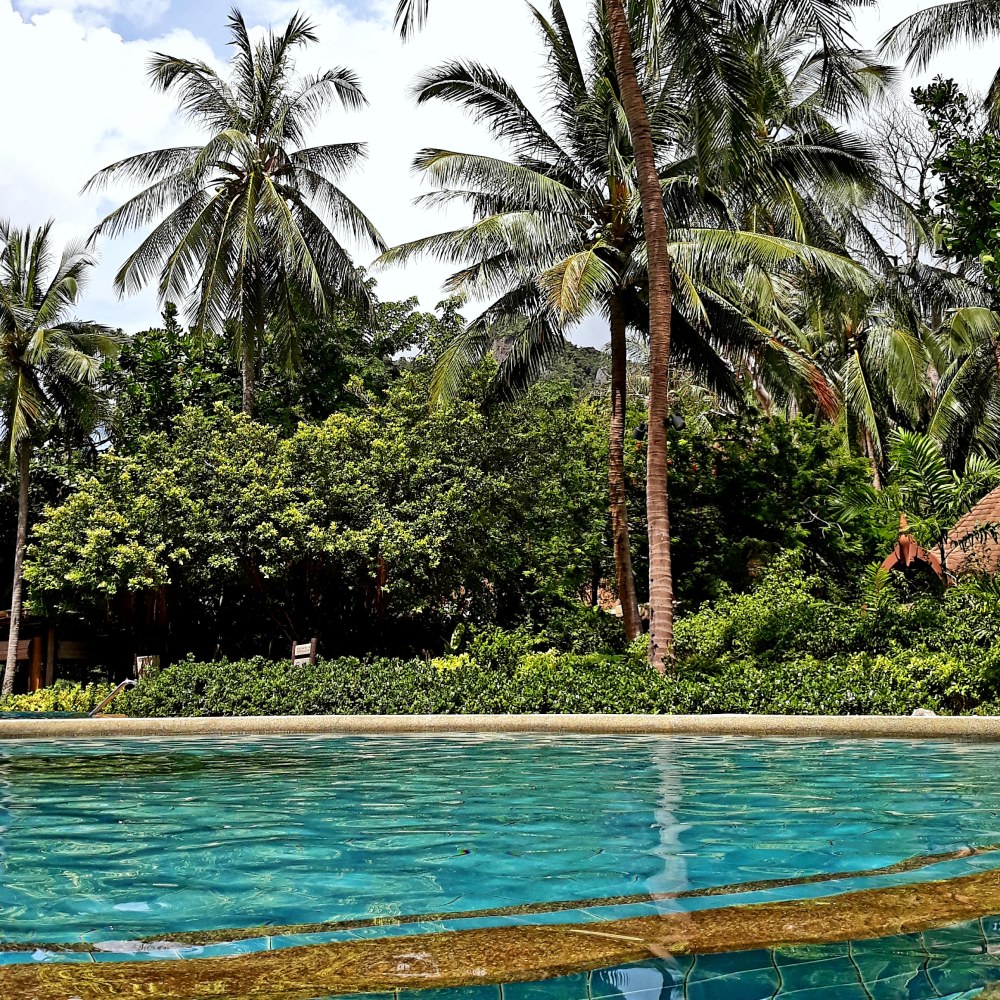 IMG_20181211_145008_084